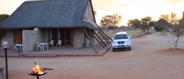 safari in botswana kgalagadi